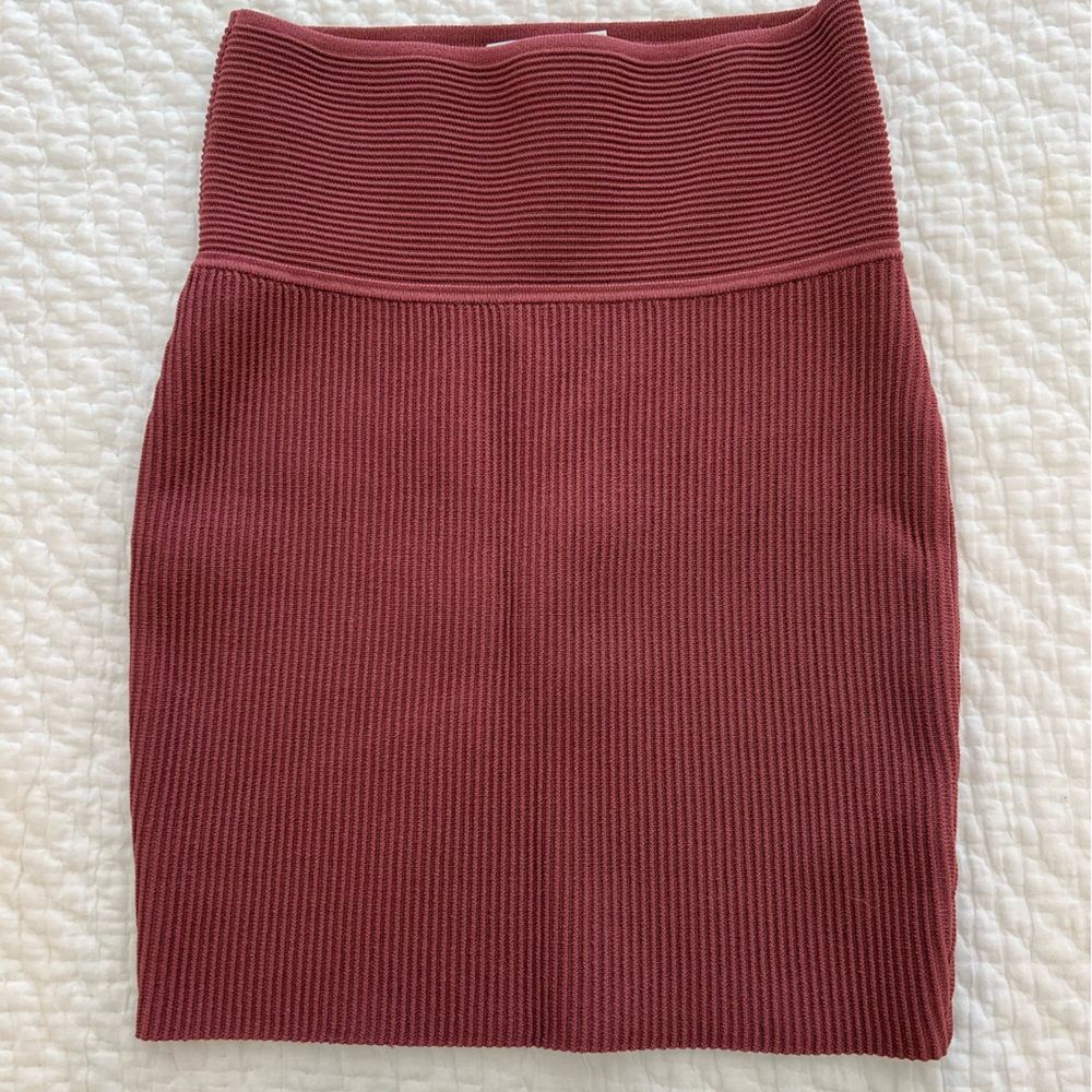 NWOT Babaton Mini Skirt from Aritzia.